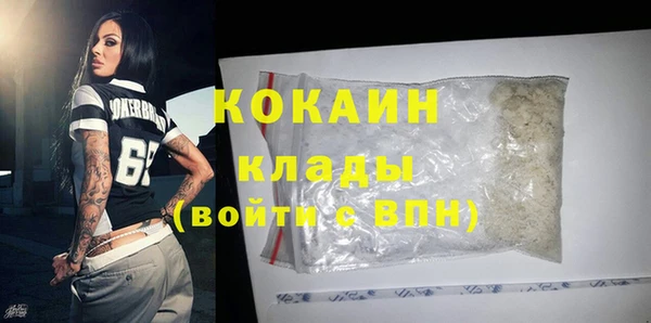 винт Дмитриев