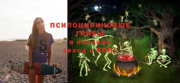 винт Дмитриев